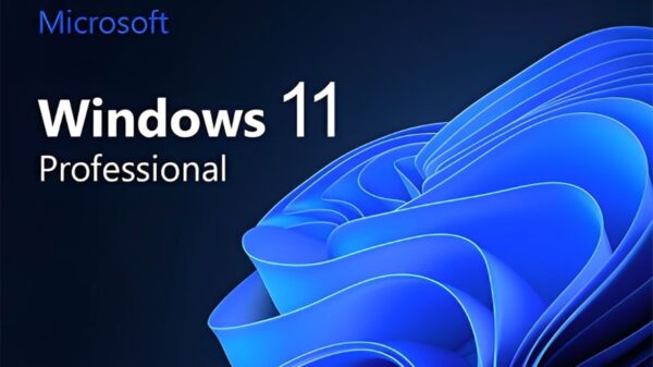 Windows 11 Professional 2 Keys Pack