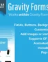 Gravity Forms Styles Pro Add-on