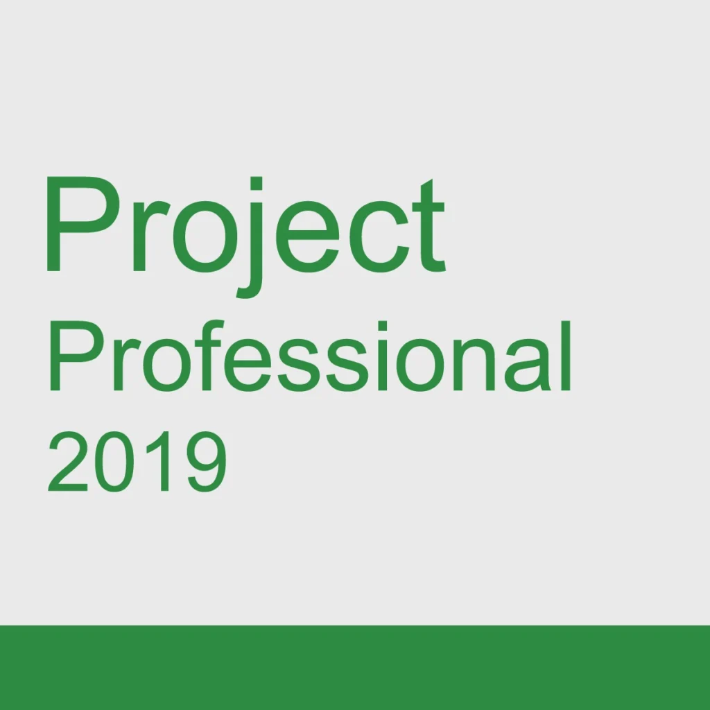 Project Professional 2019 Bind Key – 1 PC