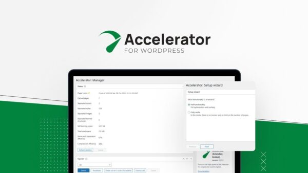 Accelera­tor for WordPress - Seraphinite Solutions