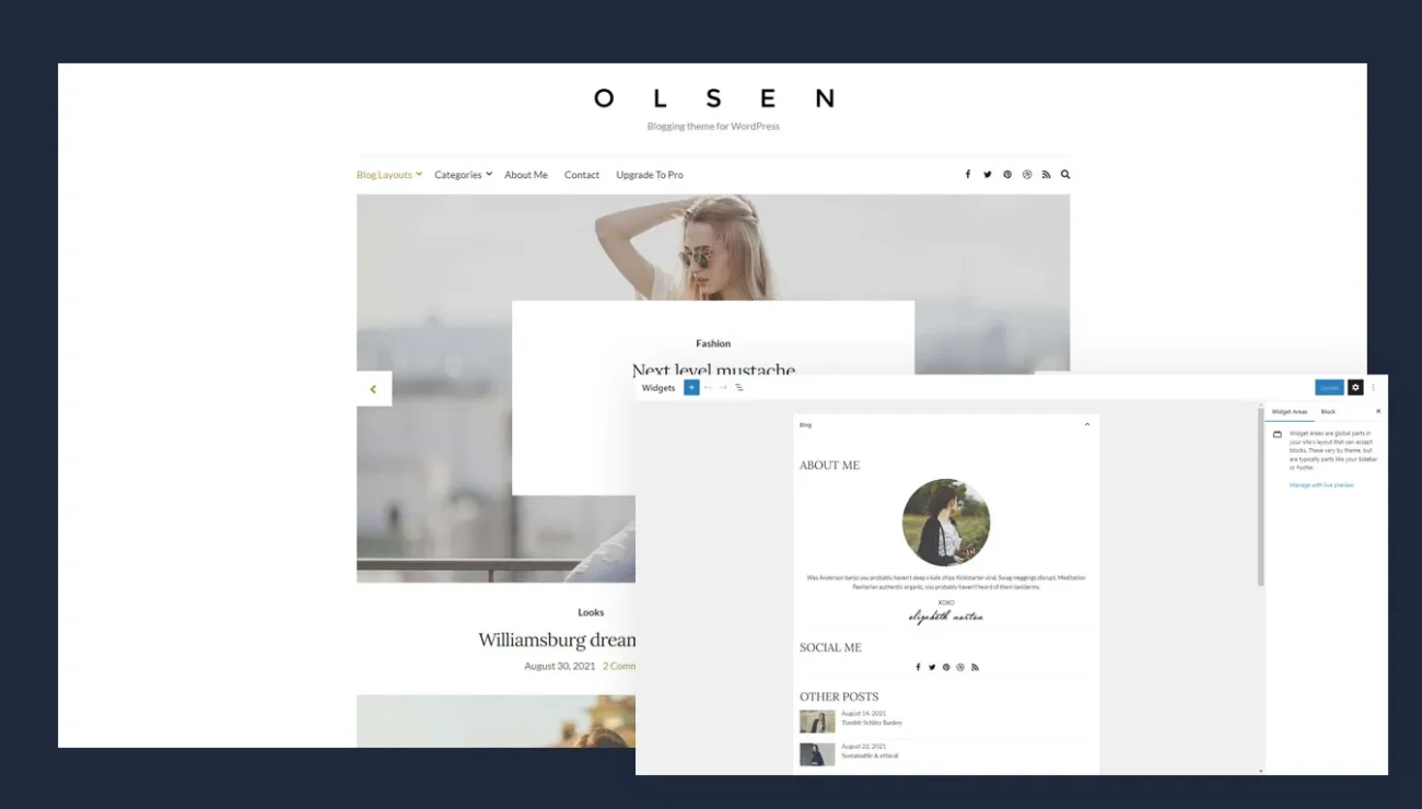 Olsen Pro & Blogging WordPress Theme & CSSIgniter