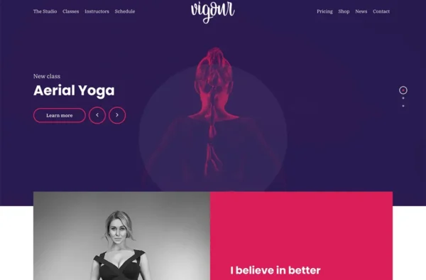 Vigour WordPress Theme & CSSIgniter