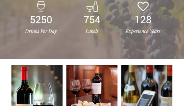 WineHouse WordPress Theme: Wine Shop & Vineyard Template by Visualmodo
