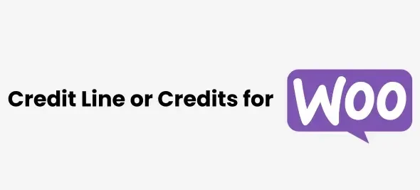 Buy Now Pay Later with Credits for WooCommerce