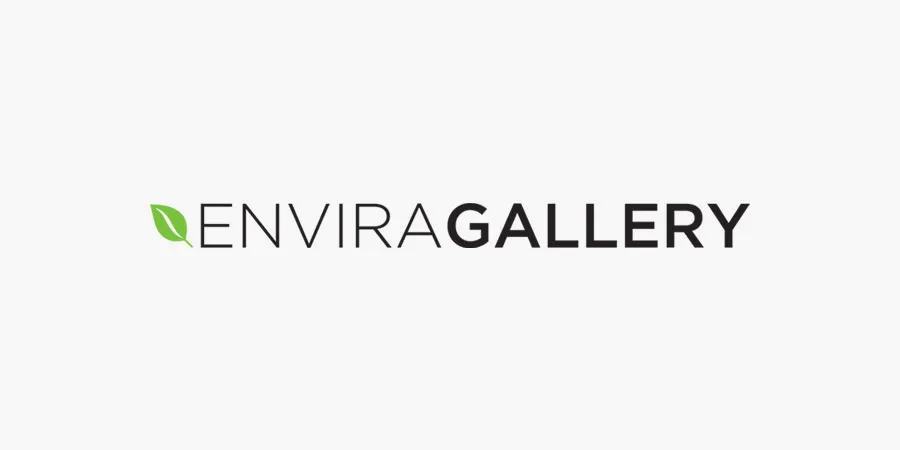 Tags Addon - Envira Gallery