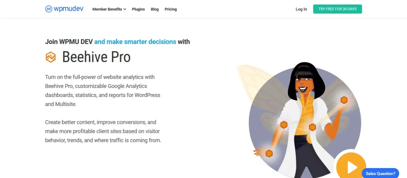 Beehive Pro - Analytics Dashboard in your WordPress | WPMU DEV