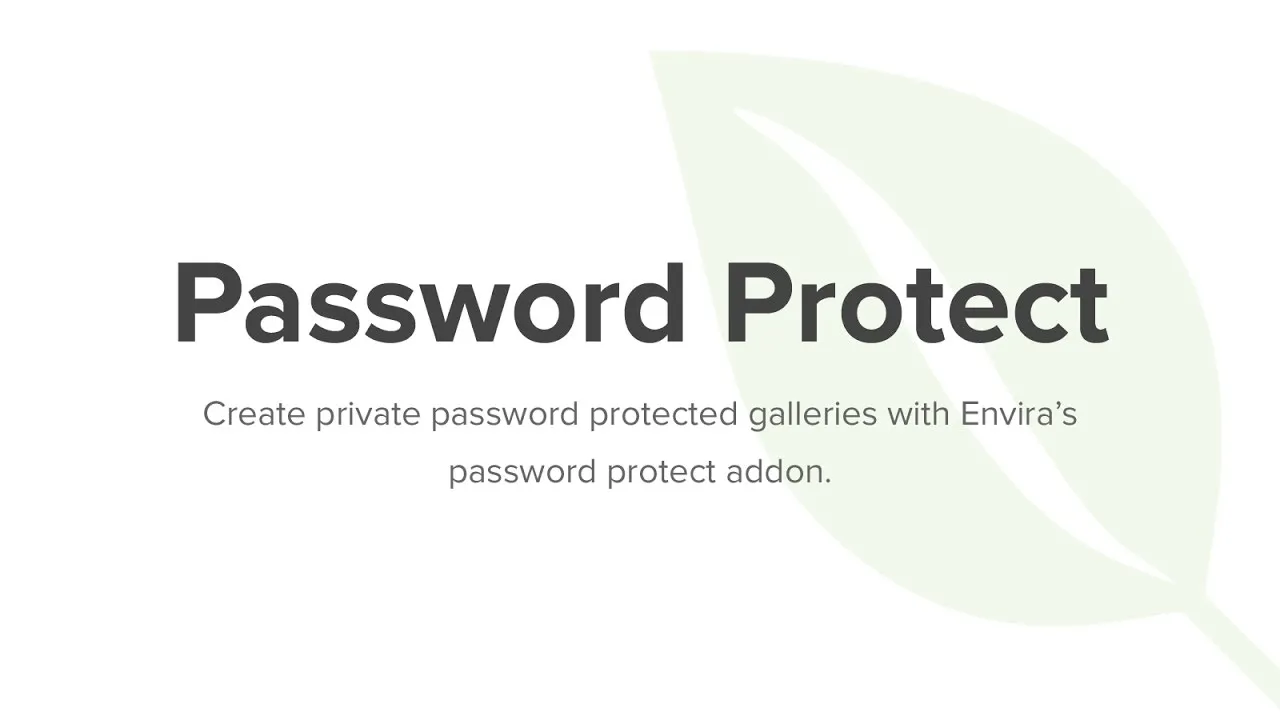 Password Protection Addon - Envira Gallery