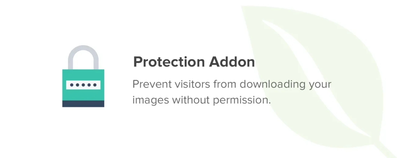 Protection Addon - Envira Gallery