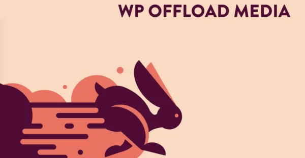 WP Offload Media Pro Plugin - Delicious Brains