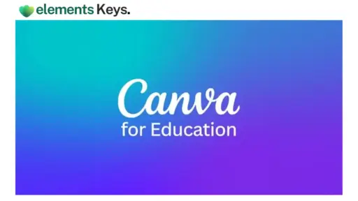 Canva Education Admin 500 Accounts User Administrator Lifetime