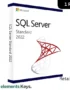 Microsoft SQL Server 2022 Standard Edition Retail Key 1 PC