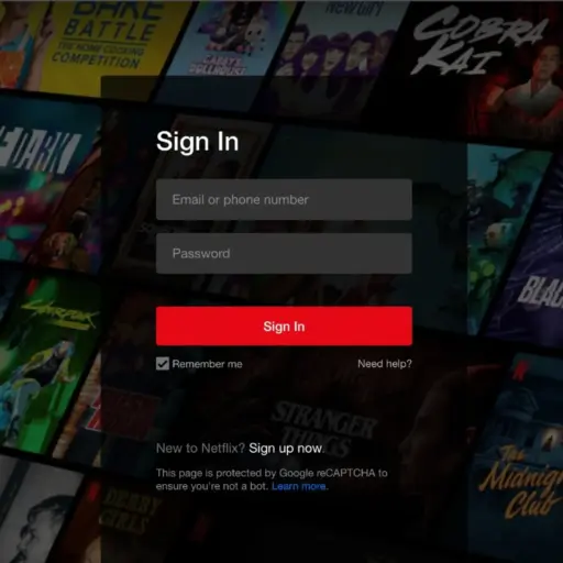 Netflix Account Premium