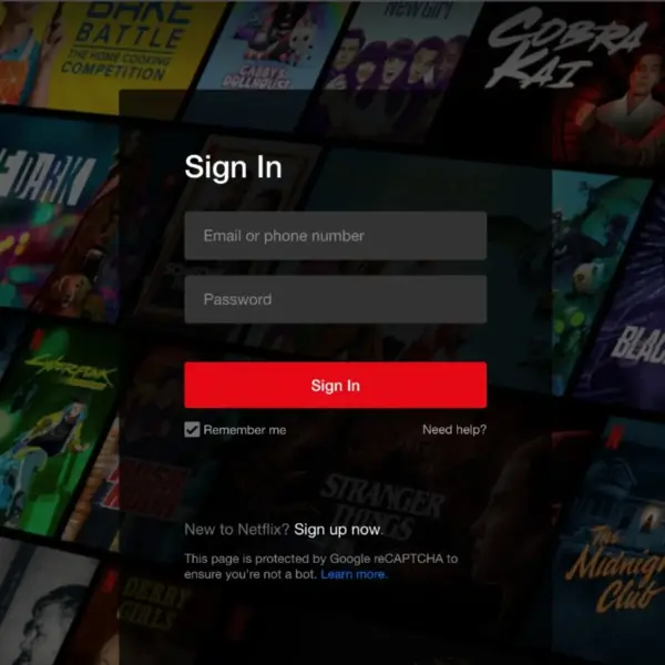 Netflix Account Premium