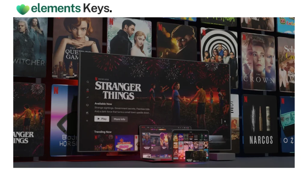 Netflix Account Premium 4K + HDR – 1 Year Subscription