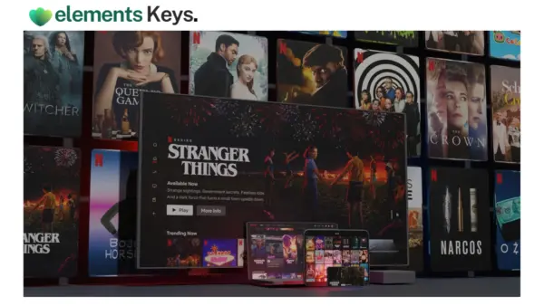 Netflix Account Premium 5 Screens 1 Year Exclusive (Shared Subscription)