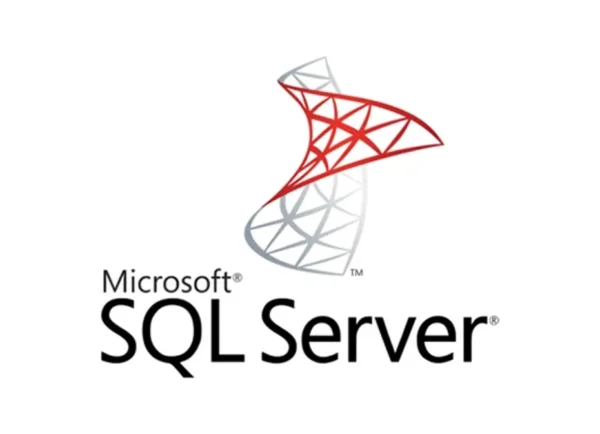 SQL Server 2010/2013/2016/2019 Standard Retail Key 1 PC