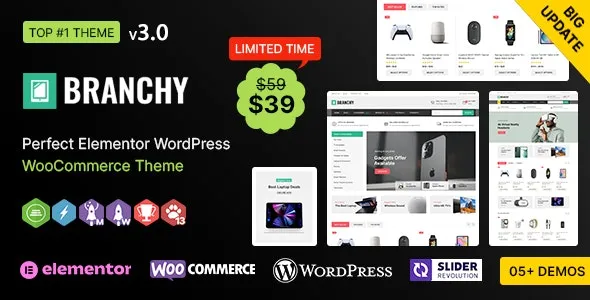 Branchy WP - Elementor Multi-purpose WooCommerce Responsive Theme