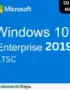Windows 10 Enterprise LTSC 2019 MAK Key – 50 PC