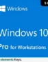 Windows 10 Pro Workstation Key 5 user