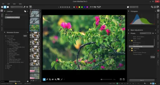 Corel AfterShot Pro 3