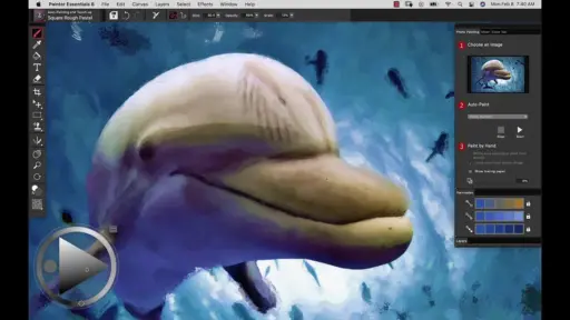 Corel Painter Essentials 8