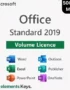 Microsoft Office 2019 Standard 500 PC MAK