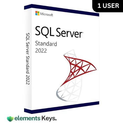 Microsoft SQL Server 2022 Standard Edition 1 User License