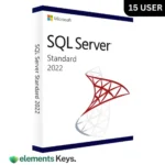 Microsoft SQL Server 2022 Standard Edition 15 User License