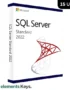 Microsoft SQL Server 2022 Standard Edition 15 User License