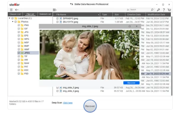 Stellar Data Recovery Professional
