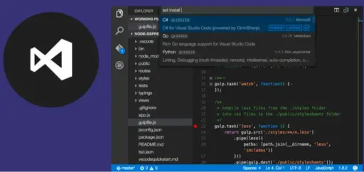 Visual Studio Professional 2019 for 2 PC
