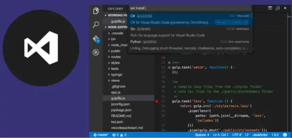 Visual Studio Professional 2019 for 2 PC