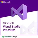 Visual Studio Professional 2022