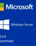 Windows Server 2019 Essentials MAK 500 user