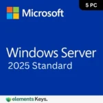 Windows Server 2025 Standard for 5 User