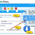 Allavsoft – Video and Music Downloader | Lifetime