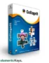 PearlMountain: CollageIt Pro For Windows