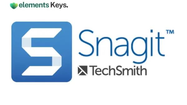 TechSmith Snagit 2019 / 2020 for Windows or MacOS