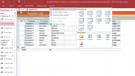 Microsoft Access 2024