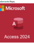 Microsoft Access 2024 – Bind License