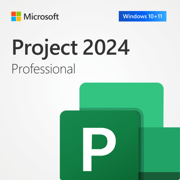 Project Professional 2024 (Bind key)