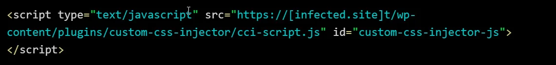 Injected JavaScript script
Source: GoDaddy