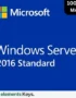 Windows Server 2016 Standard mak 100 user