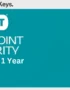 ESET Endpoint Security Key 1 Device 1 Year