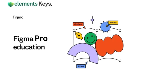 Figma Professional EDU: The Collaborative Interface Design Tool