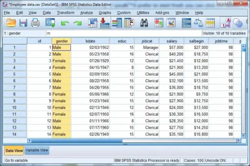 IBM SPSS Statistics Premium 28 Version