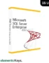 Microsoft SQL Server 2022 Enterprise Edition 15 User