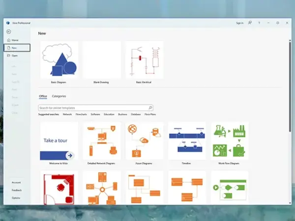 Microsoft Visio Standard 2024