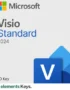 Microsoft Visio Standard 2024 Bind License