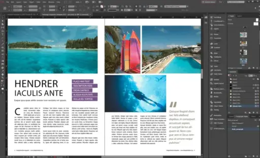 Adobe InDesign 1-Year Subscription